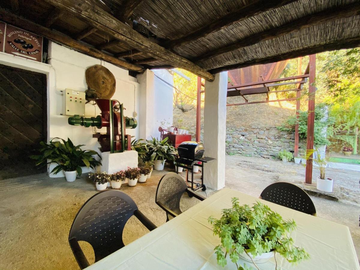El Molino De Aceite Country house