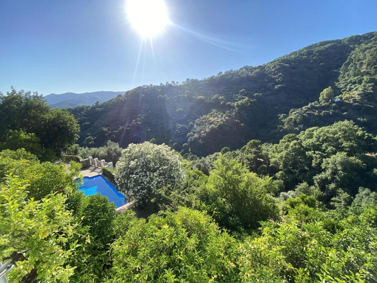 El Molino De Aceite Casa rural