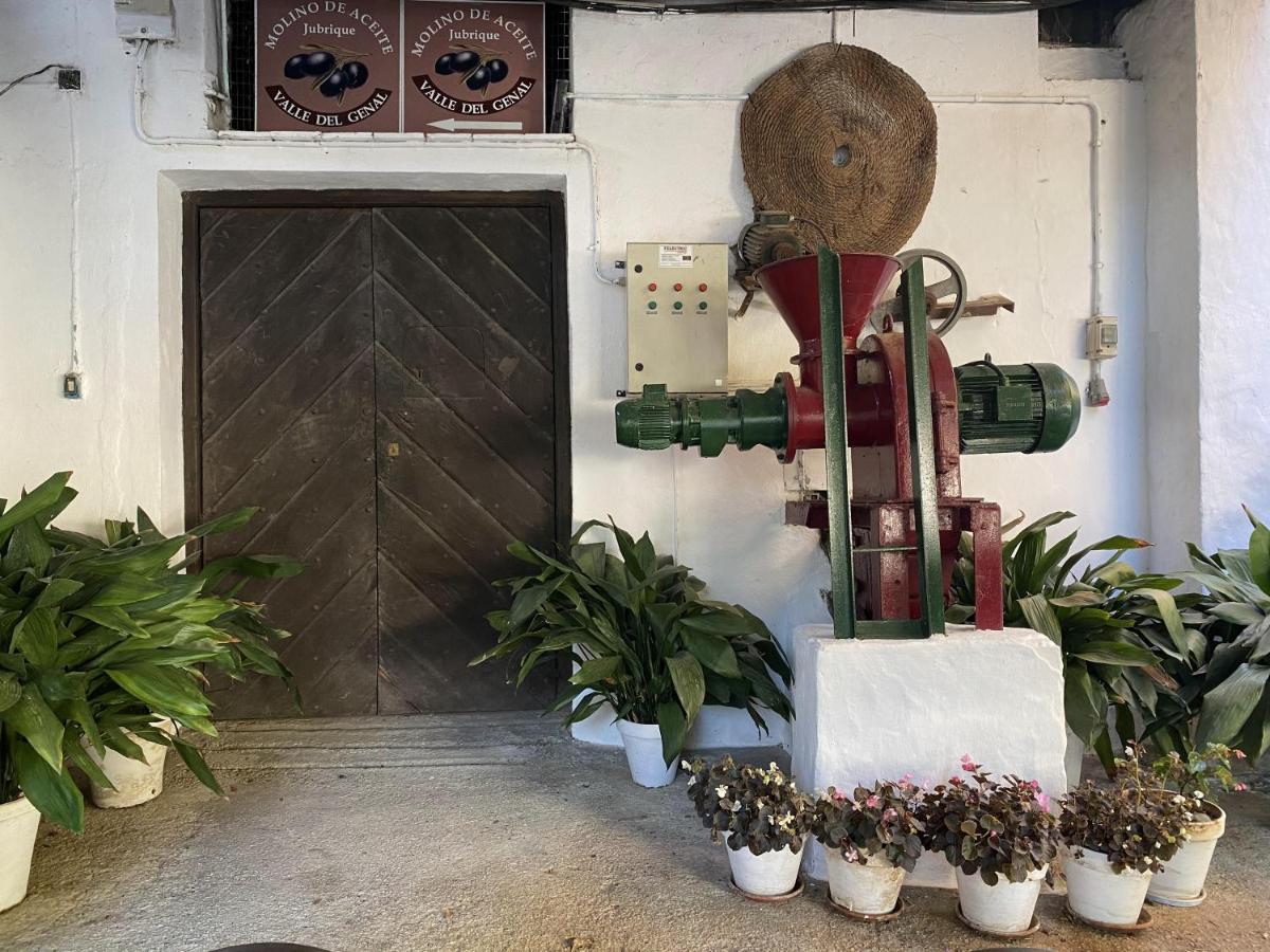 Country house El Molino De Aceite