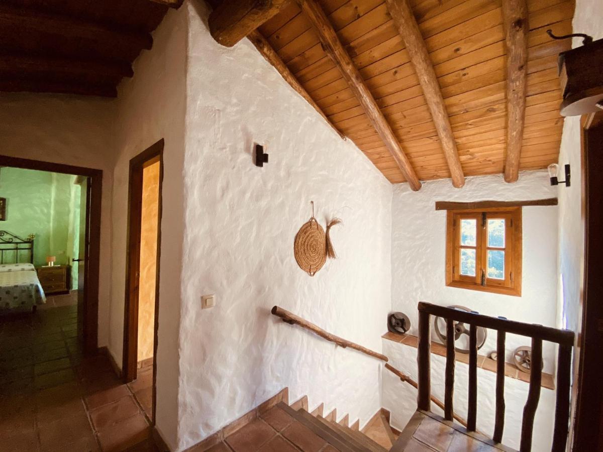Casa rural El Molino De Aceite Jubrique