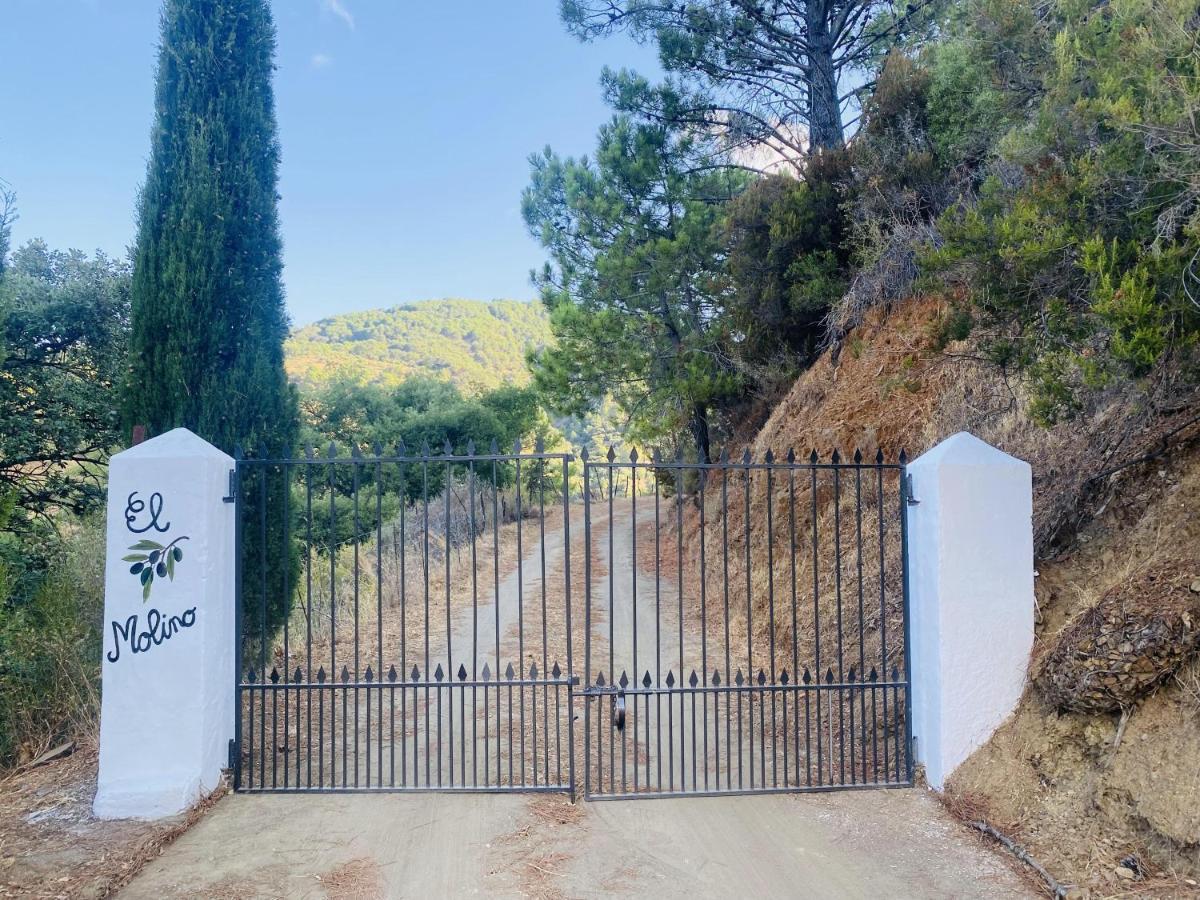 Country house El Molino De Aceite *
