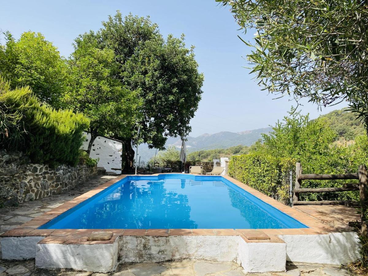 Country house El Molino De Aceite *