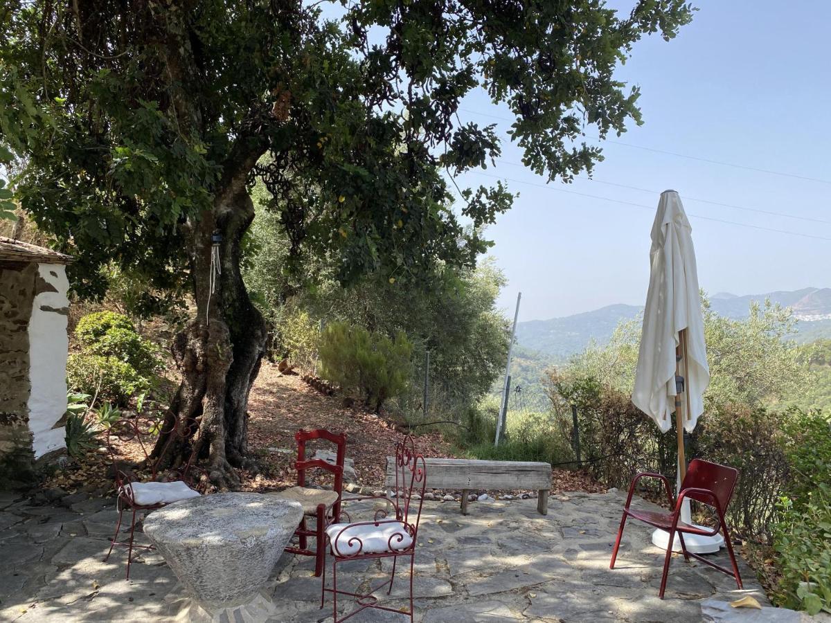 Country house El Molino De Aceite *