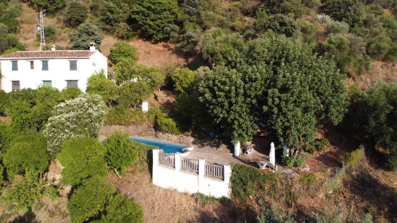 El Molino De Aceite