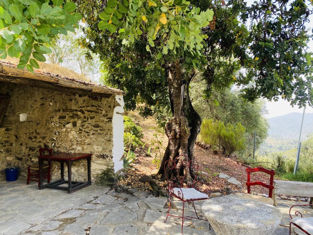 El Molino De Aceite Country house