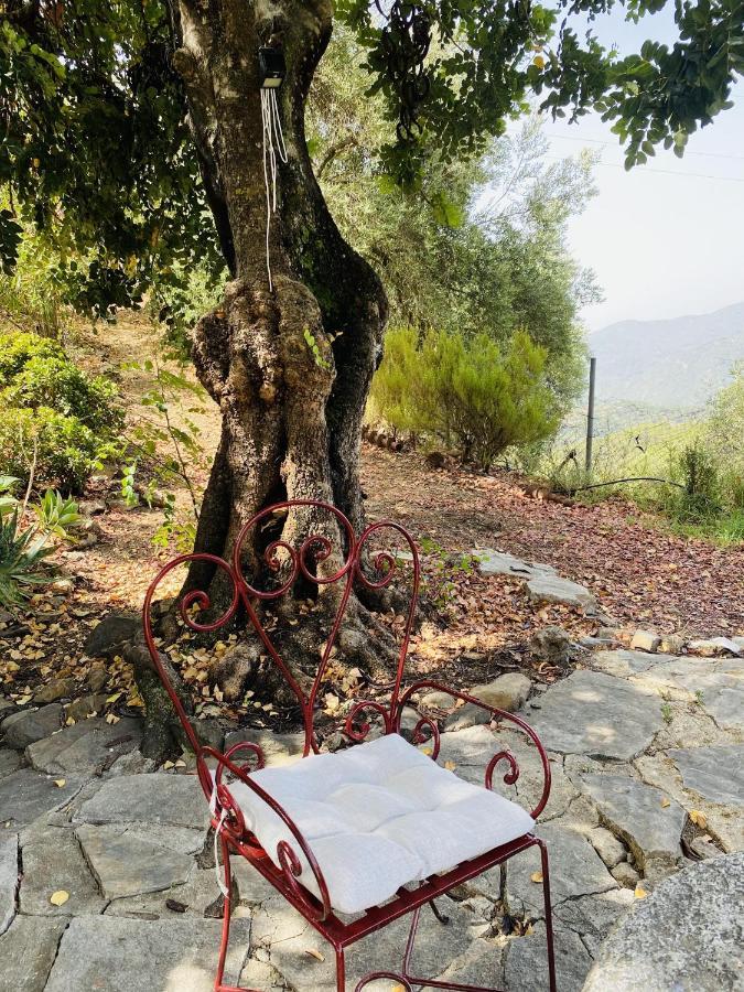 Country house El Molino De Aceite Jubrique