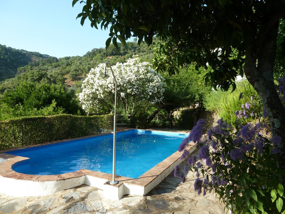 El Molino De Aceite Country house Jubrique