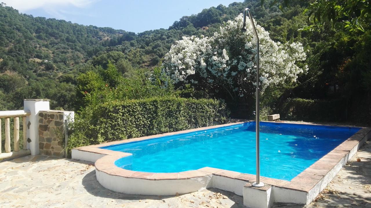 El Molino De Aceite