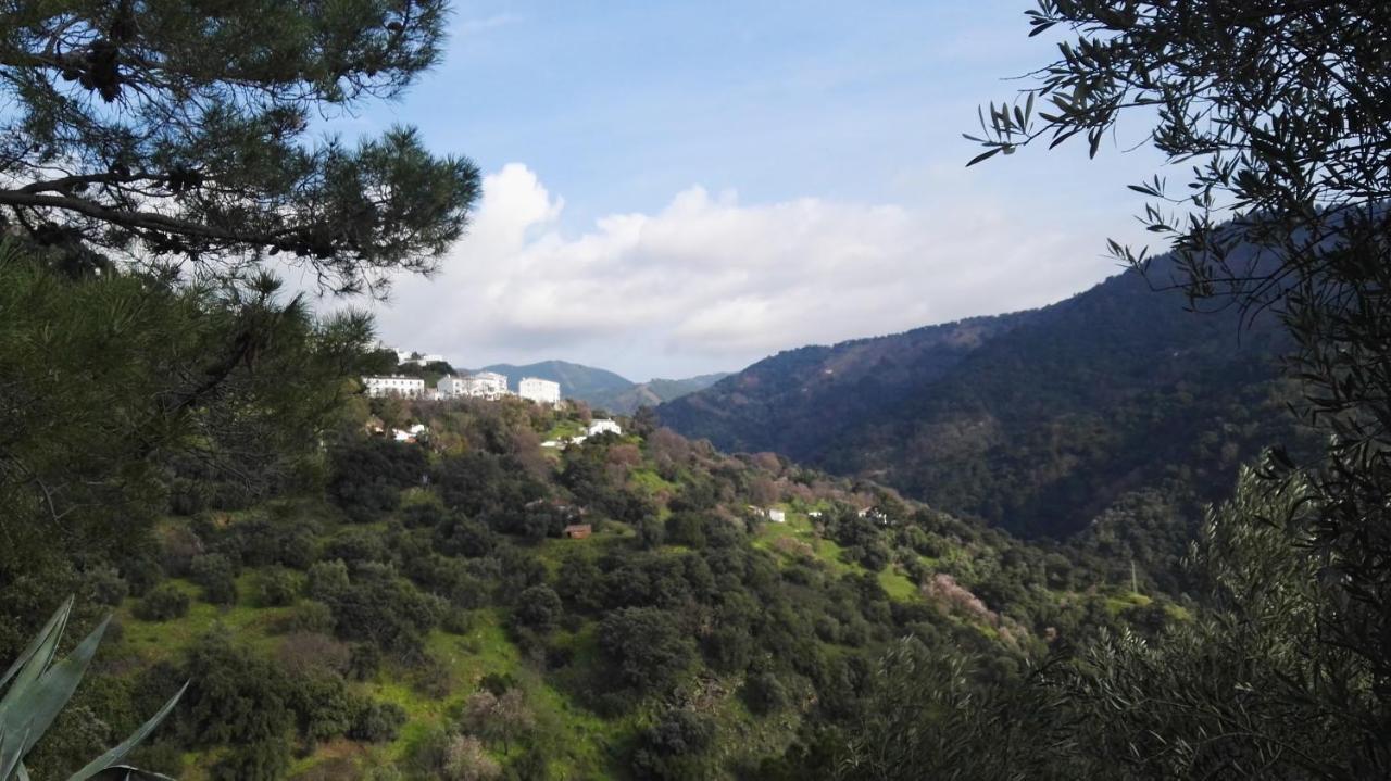 El Molino De Aceite Jubrique